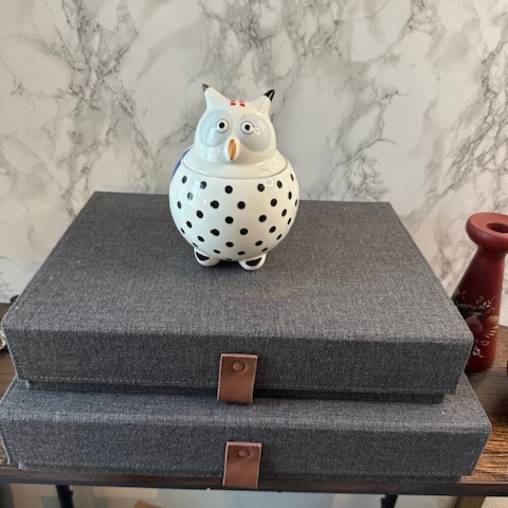 Villeroy & Boch OWL Sugar Bowl